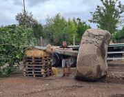 David Williams, Wyevale Nurseries’ new Production Development Manager